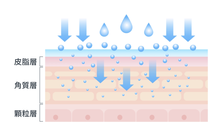 じゅうぶんに浸透して素肌を整える！
